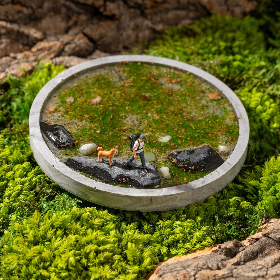 The Solitude coaster