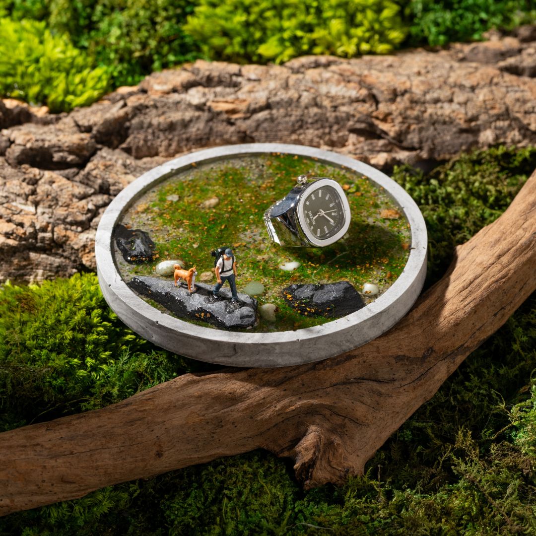 The Solitude coaster