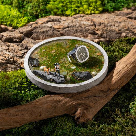 The Solitude coaster