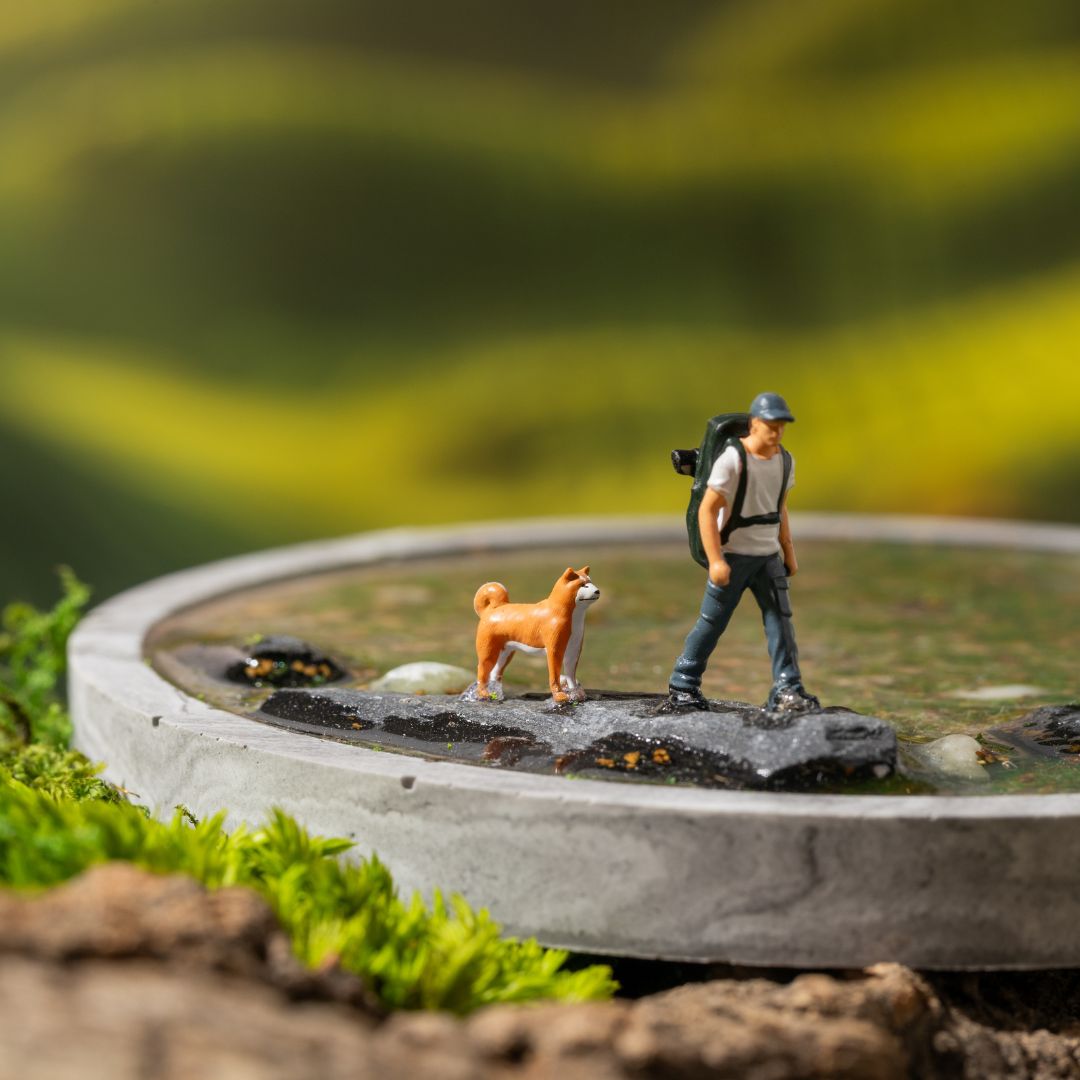 The Solitude coaster