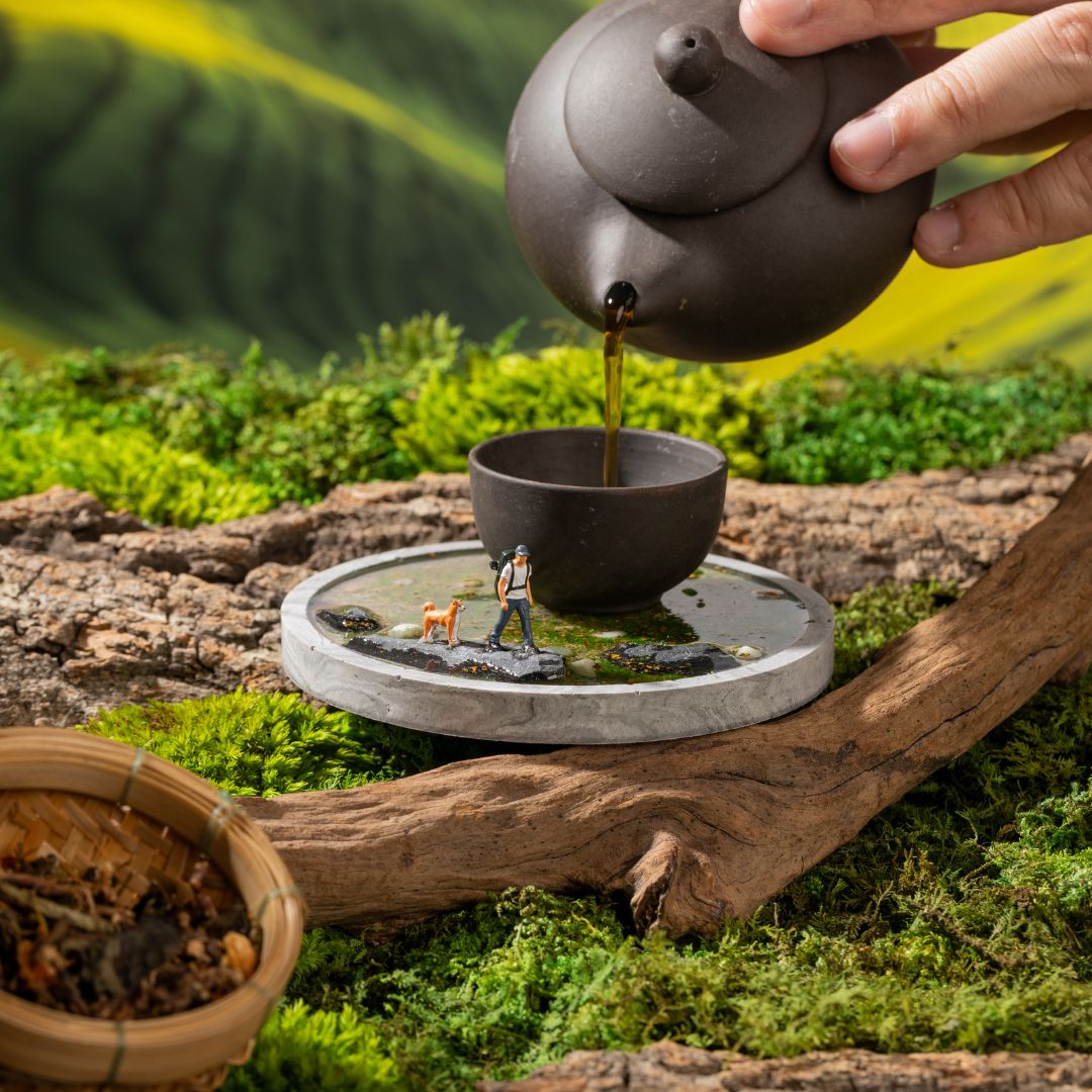 The Solitude coaster