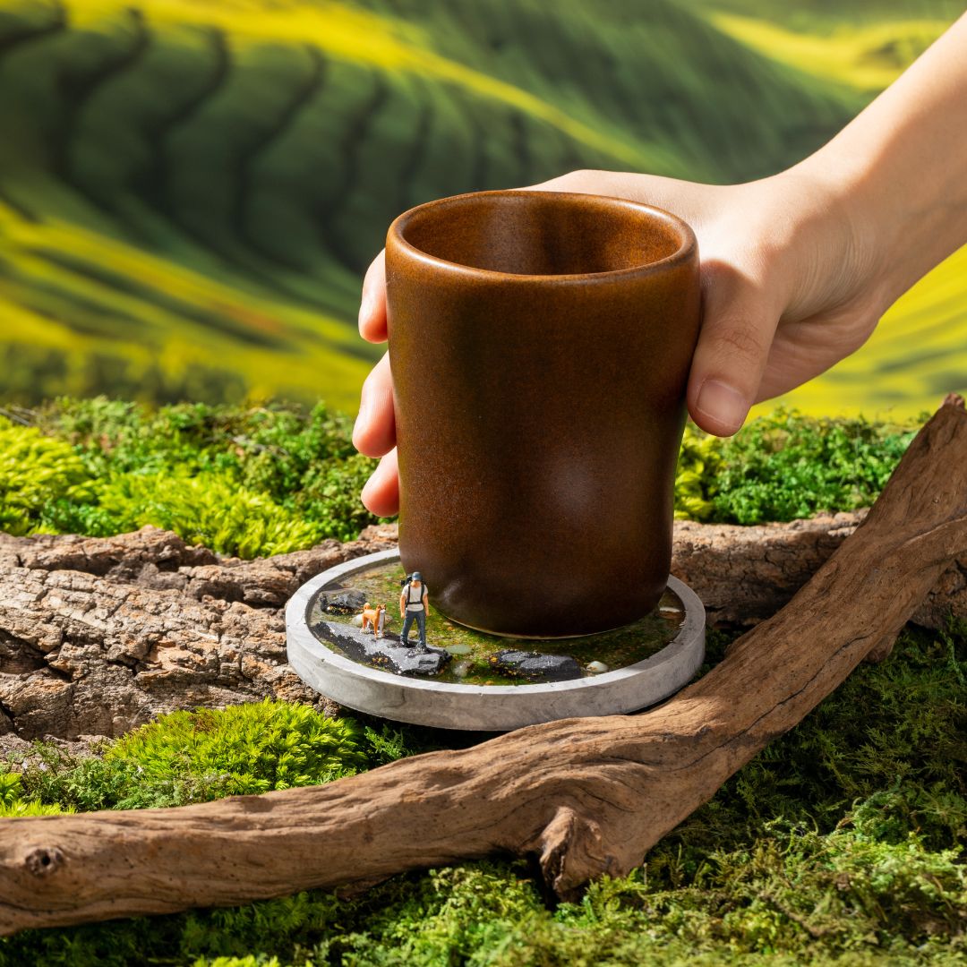 The Solitude coaster