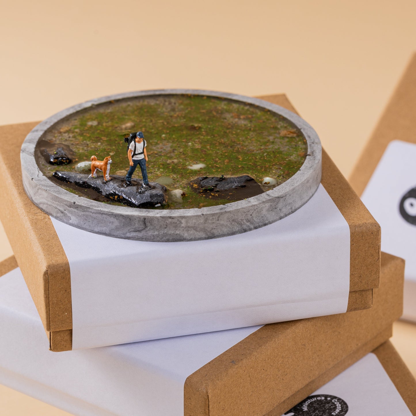 The Solitude coaster